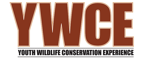 YWCE Logo